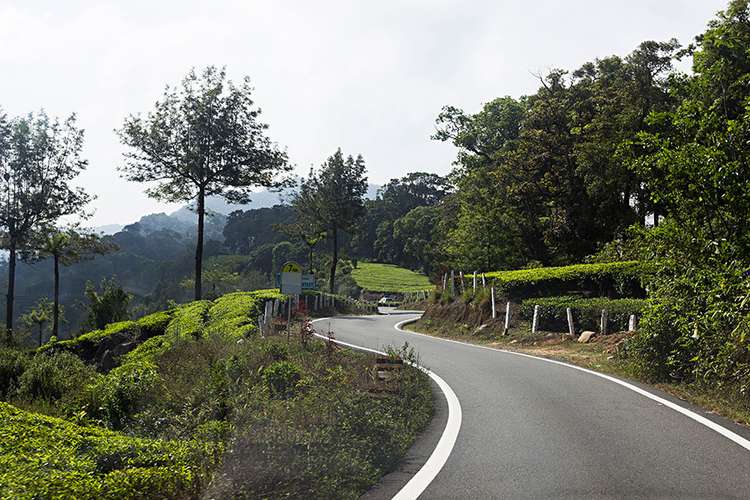 Assam & Meghalaya Tour | Guwahati, Kaziranga, Shillong & Cherrapunji Adventure