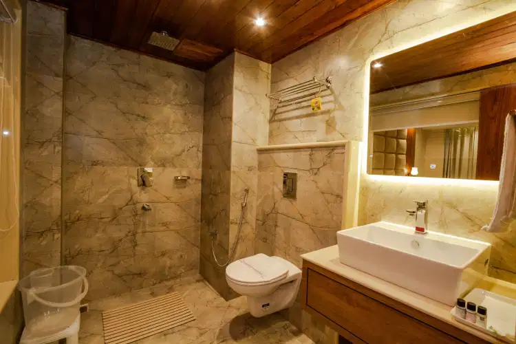 Manali Volvo Tour with Couple-Friendly Stay at SVH Hotel (Centrally Heated)