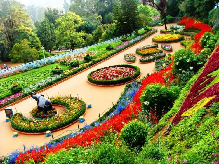 Ooty Hill Station Holiday Package
