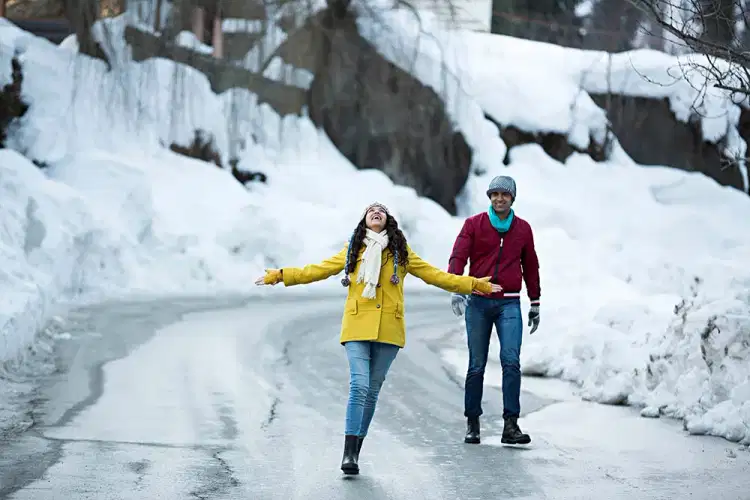 Manali Volvo Tour with Couple-Friendly Stay at SVH Hotel (Centrally Heated)